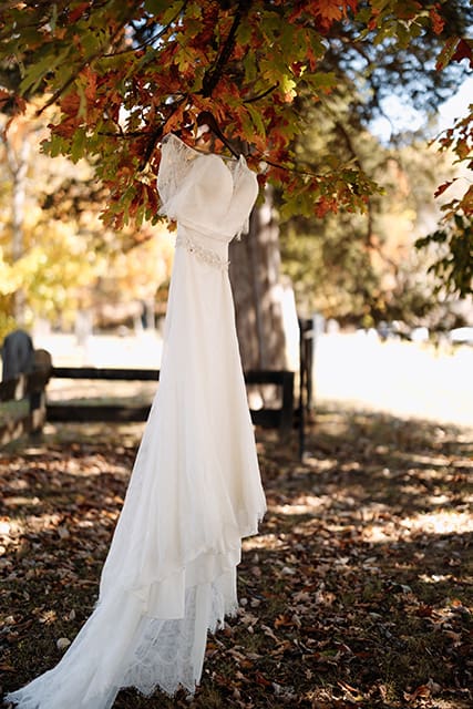 Wedding Dress hanging from tree with fall colored leaves.